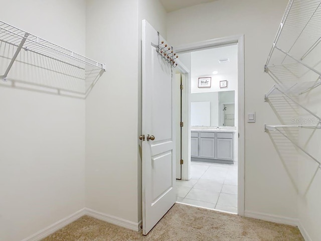 313 Sofia Ln, Lake Alfred, FL 33850 - walk in closet with light carpet