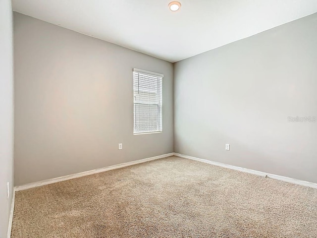 313 Sofia Ln, Lake Alfred, FL 33850 - unfurnished room featuring carpet floors and baseboards