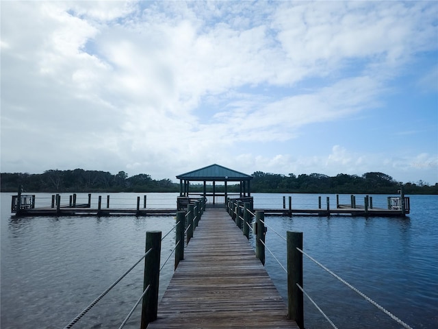 20 Los Lagos Blvd, Palm Coast, FL 32137 - photo 63