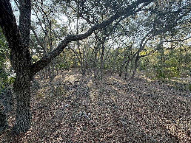 NE 82nd Pl, Bronson, FL 32621 - photo 1