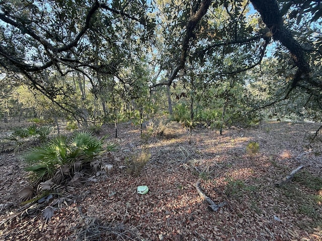 NE 82nd Pl, Bronson, FL 32621 - photo 3
