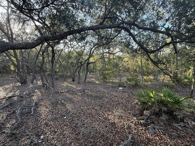 NE 82nd Pl, Bronson, FL 32621 - photo 4