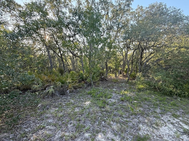 NE 82nd Pl, Bronson, FL 32621 - photo 5