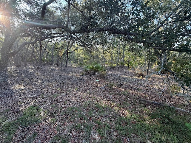NE 82nd Pl, Bronson, FL 32621 - photo 6