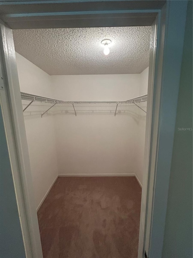 9504 W Cluster Ave, Tampa, FL 33615 - spacious closet with carpet