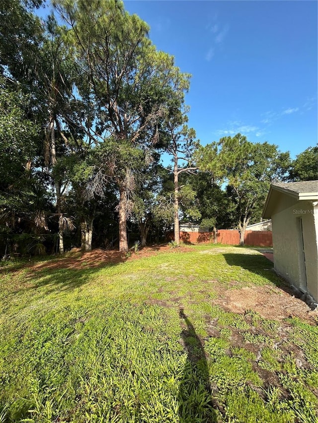 9504 W Cluster Ave, Tampa, FL 33615 - view of yard