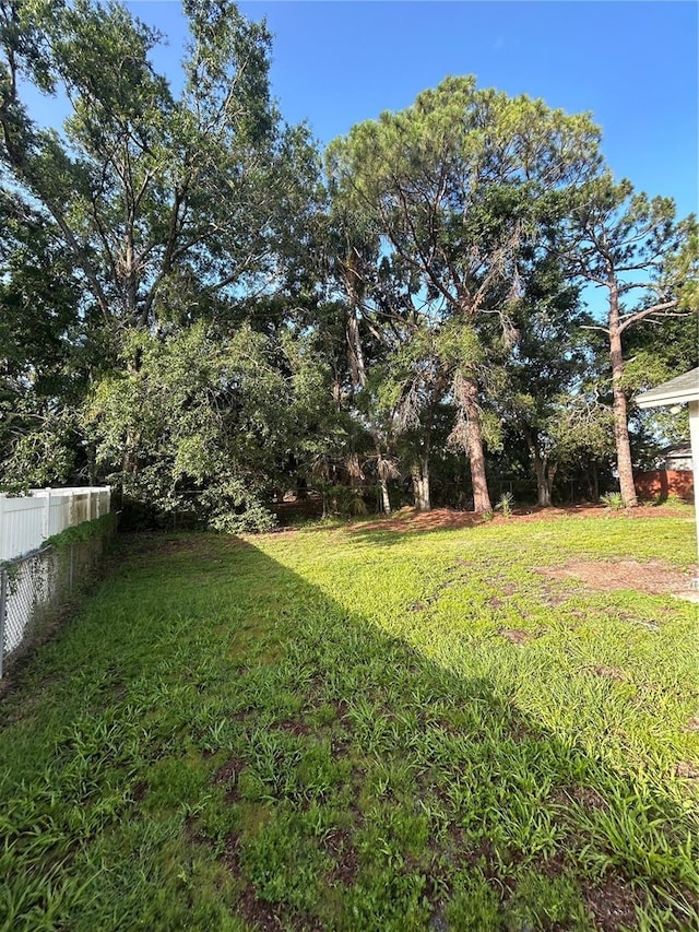 9504 W Cluster Ave, Tampa, FL 33615 - view of yard