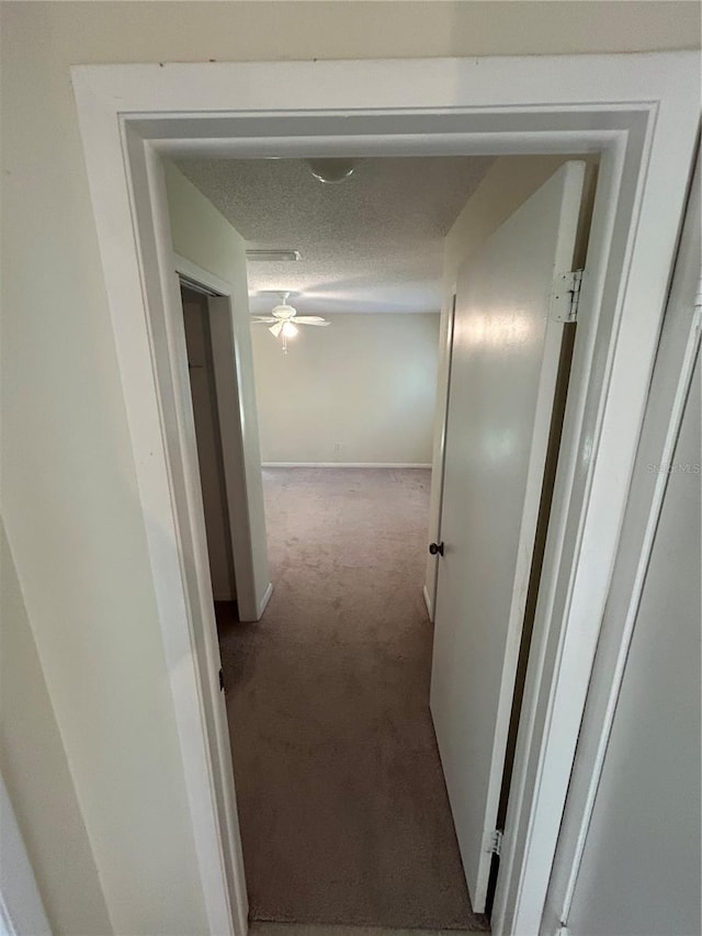 9504 W Cluster Ave, Tampa, FL 33615 - hall with carpet flooring