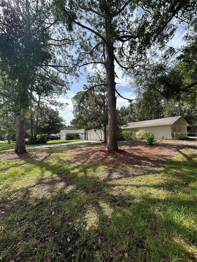 9504 W Cluster Ave, Tampa, FL 33615 - view of green lawn