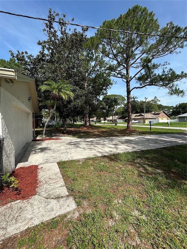 9504 W Cluster Ave, Tampa, FL 33615 - view of yard