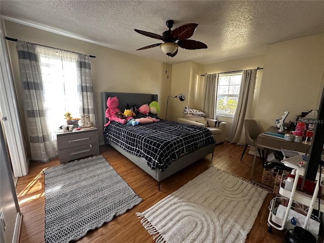 17302 2nd St, Montverde, FL 34756 - photo 22