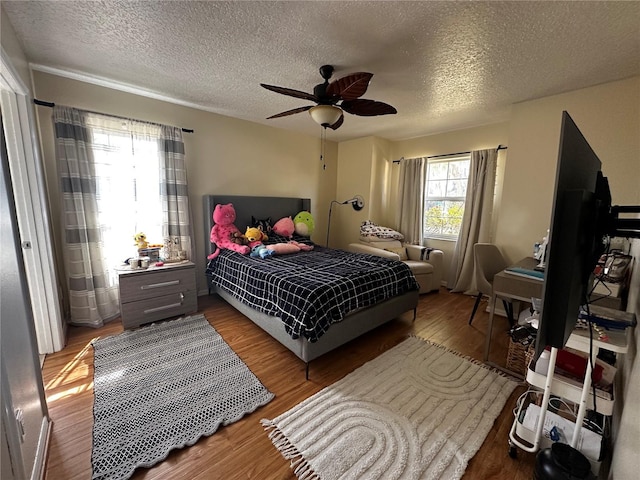 17302 2nd St, Montverde, FL 34756 - photo 23