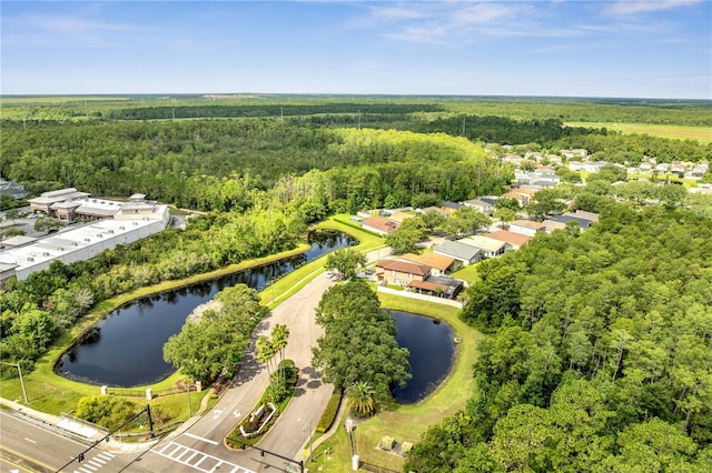 13217 Briar Forest Ct, Orlando, FL 32828 - aerial view of a forest and a large body of water