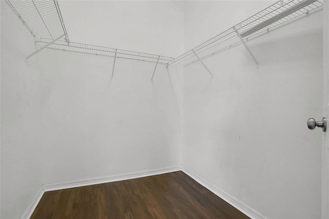 118 Sir Phillips Dr, Davenport, FL 33837 - spacious closet featuring dark wood-style flooring