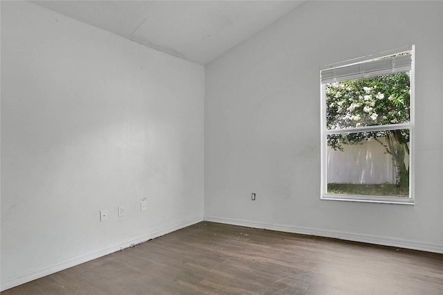 118 Sir Phillips Dr, Davenport, FL 33837 - spare room with wood finished floors and lofted ceiling