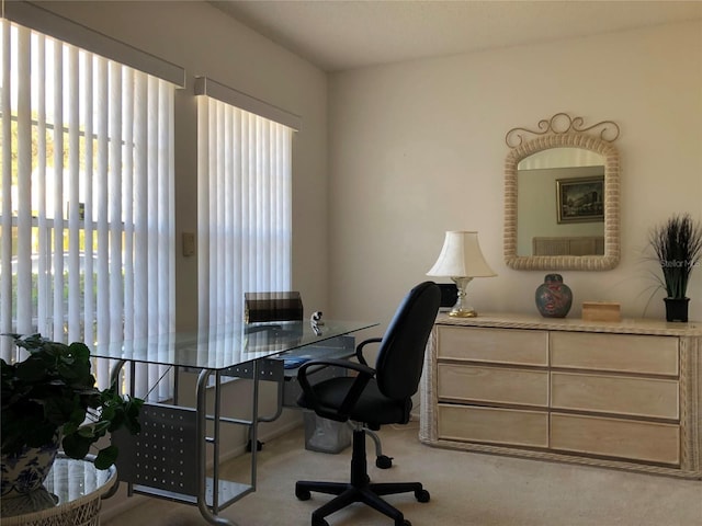 8647 Black Mesa Dr, Orlando, FL 32829 - photo 21