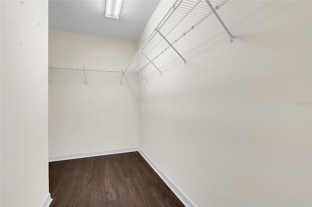 33500 Terragona Dr, Sorrento, FL 32776 - photo 13