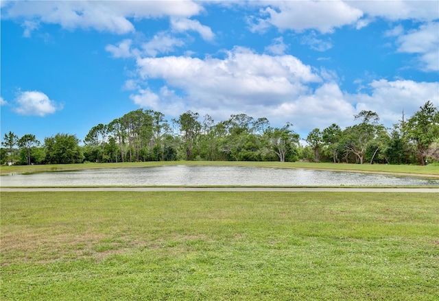 8752 Lookout Pointe Dr, Windermere, FL 34786 - photo 41