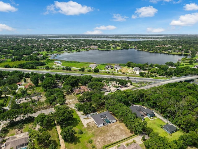 9353 Gotha Rd, Windermere, FL 34786 - aerial view of residential area with a nearby body of water and a tree filled landscape