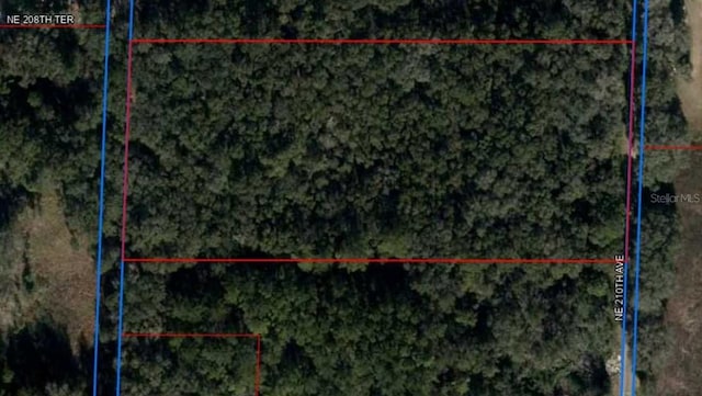NE 210th Ave, Williston, FL 32696