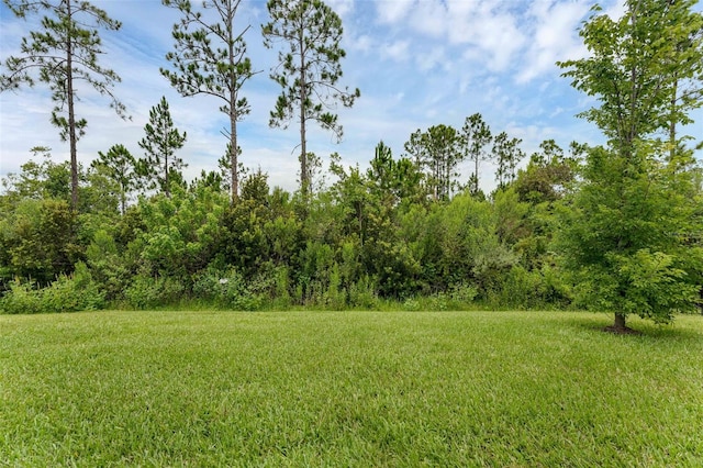 2780 Southland St, Saint Cloud, FL 34772 - photo 33