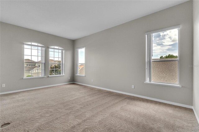 14342 Fieldstone Lake Way, Orlando, FL 32824 - photo 23