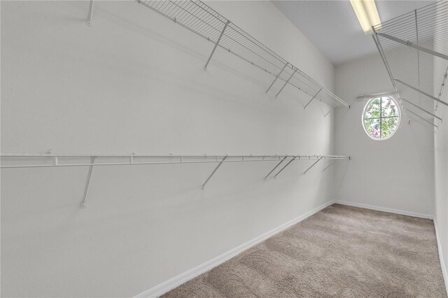 14342 Fieldstone Lake Way, Orlando, FL 32824 - photo 32