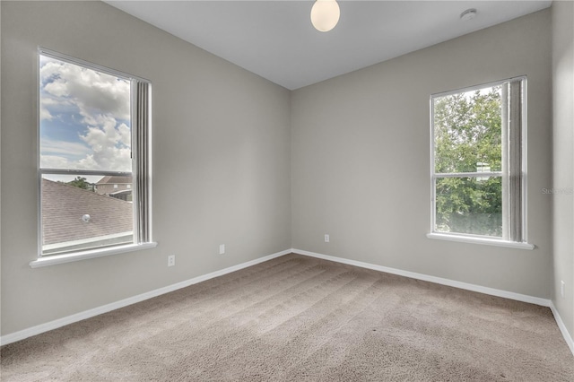 14342 Fieldstone Lake Way, Orlando, FL 32824 - photo 33
