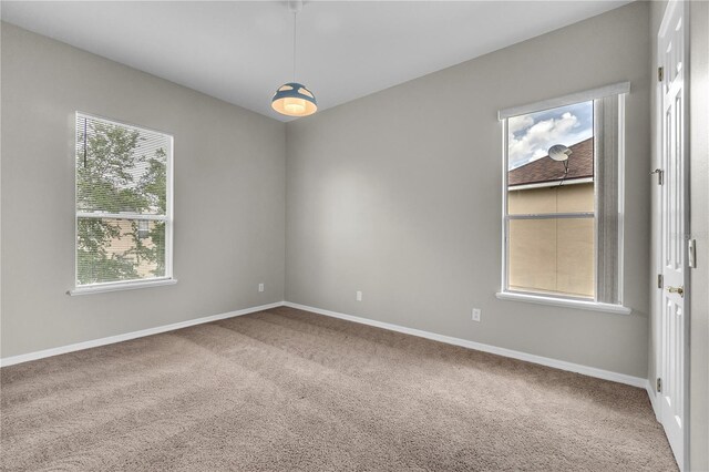 14342 Fieldstone Lake Way, Orlando, FL 32824 - photo 40