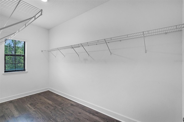 461 Diamond Dove Cv, Winter Springs, FL 32708 - spacious closet featuring dark wood-style floors