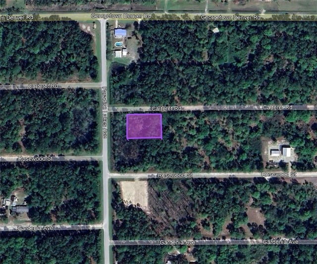 305 Carteret Rd, Georgetown, FL 32139 - photo 4