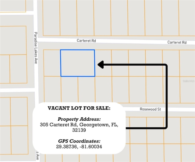 305 Carteret Rd, Georgetown, FL 32139 - photo 5
