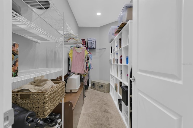spacious closet with carpet flooring