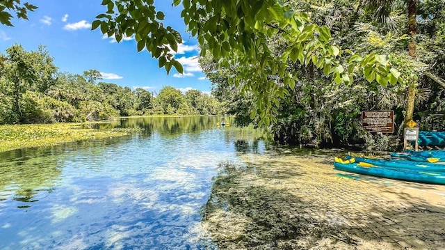 2563 Long Pine Ave, Apopka, FL 32712 - water view with a heavily wooded area