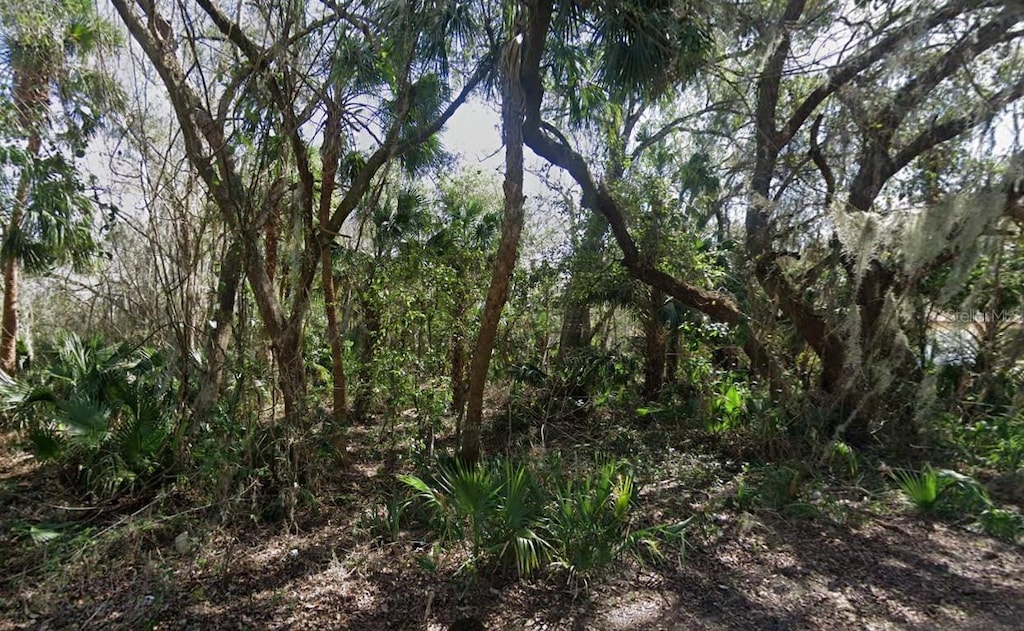 Nancy St, Oak Hill, FL 32759 - photo 1