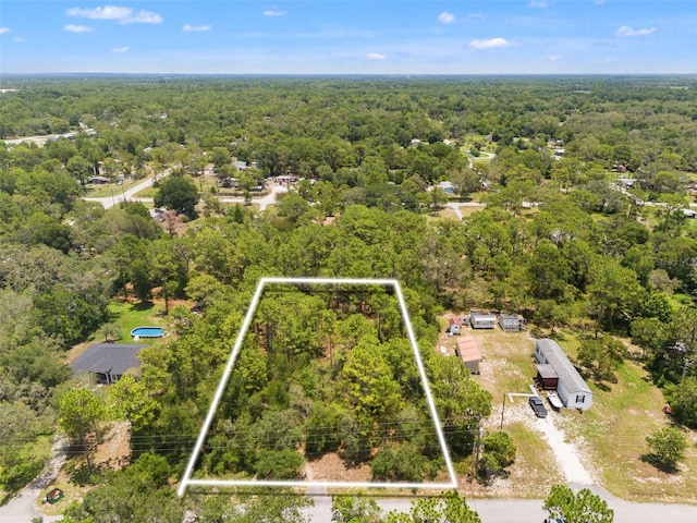 Greensboro St, Spring Hill, FL 34610 - photo 2