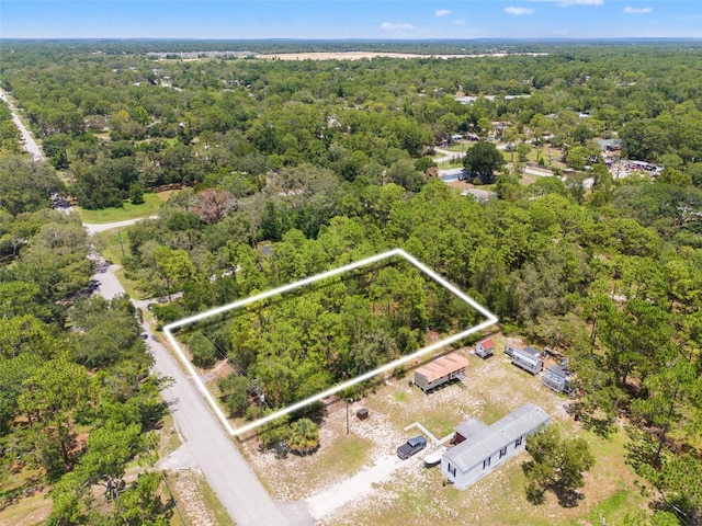 Greensboro St, Spring Hill, FL 34610 - photo 3