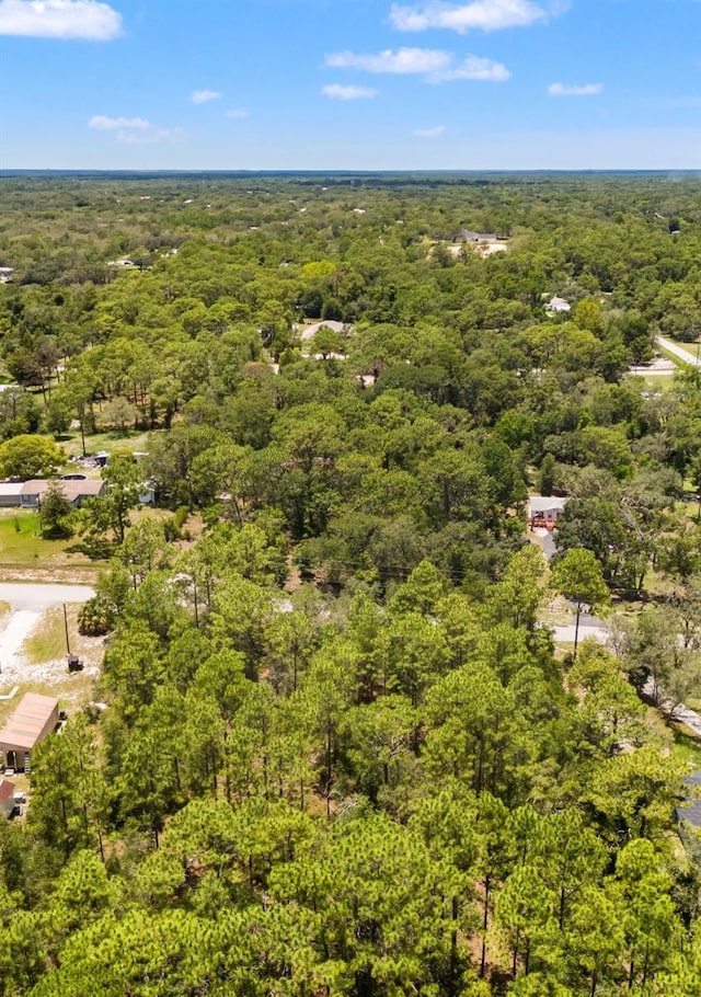 Greensboro St, Spring Hill, FL 34610 - photo 6