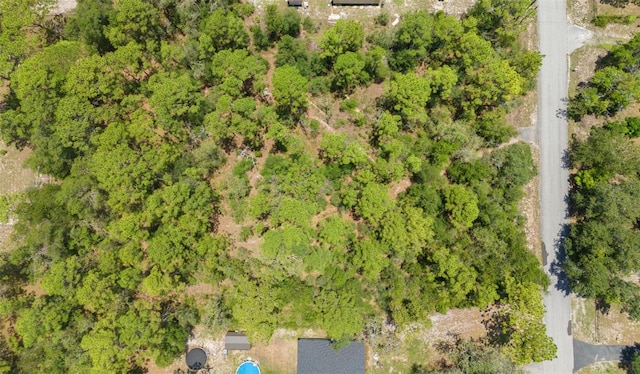 Greensboro St, Spring Hill, FL 34610 - photo 7