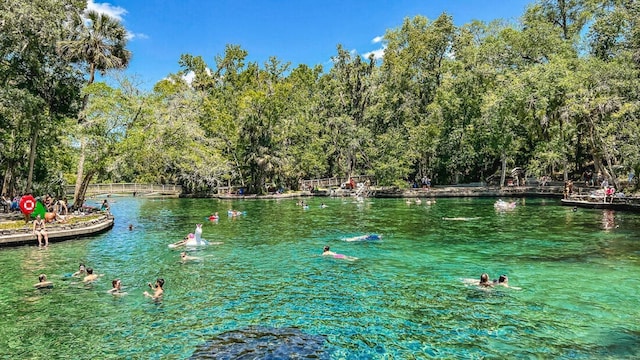 2551 Long Pine Ave, Apopka, FL 32712 - water view with a forest