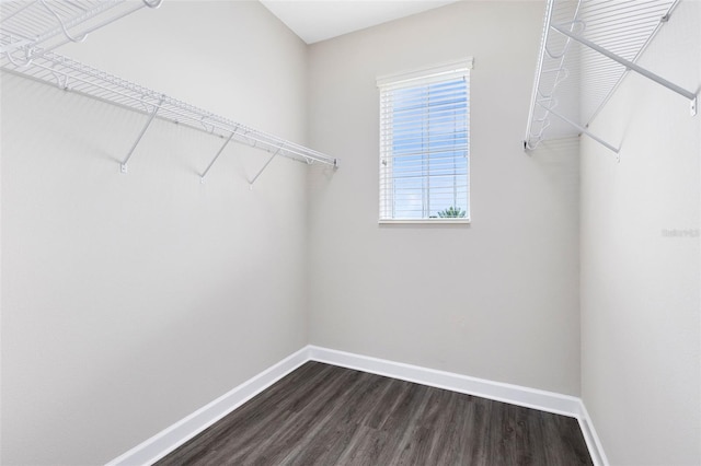 1439 Lake George Dr, Lake Mary, FL 32746 - photo 23