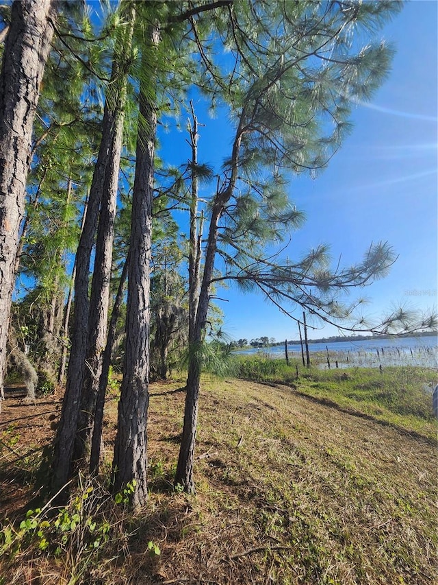 2332 Mitchell Island Rd, Deltona, FL 32738 - photo 1