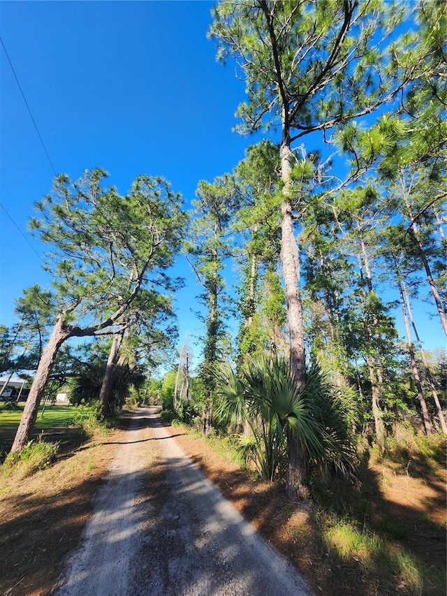2332 Mitchell Island Rd, Deltona, FL 32738 - photo 3