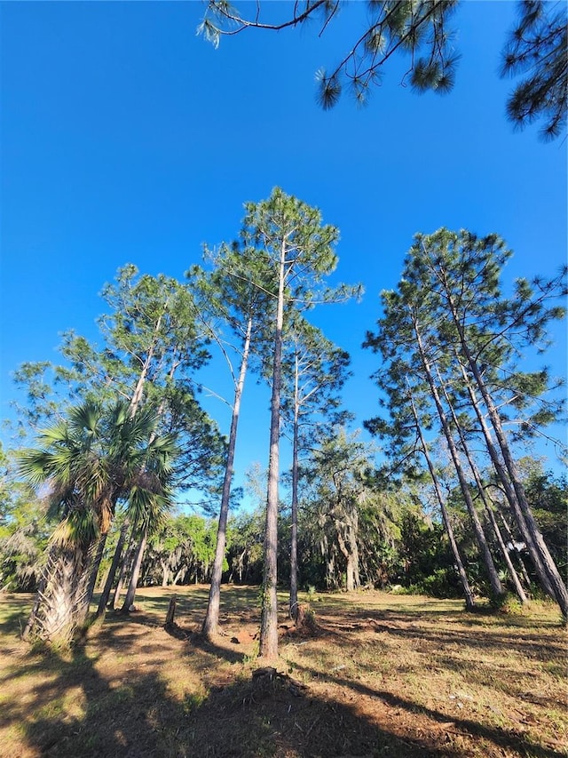 2332 Mitchell Island Rd, Deltona, FL 32738 - photo 4