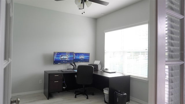 office space featuring a ceiling fan and light wood-style flooring