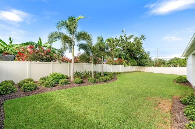 1181 Castlevecchio Loop, Orlando, FL 32825 - view of fenced backyard