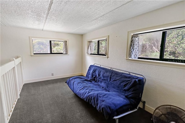 12350 83rd St, Fellsmere, FL 32948 - sitting room with carpet floors, a textured ceiling, and a textured wall