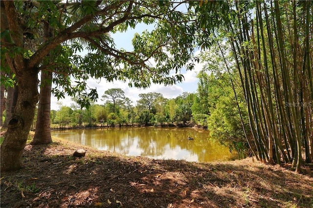 12350 83rd St, Fellsmere, FL 32948 - water view with a heavily wooded area