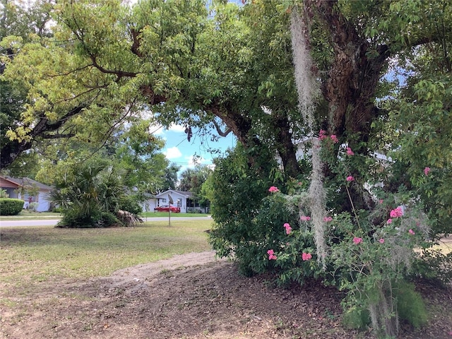 200 W Doane Ave, Eustis, FL 32726 - photo 6