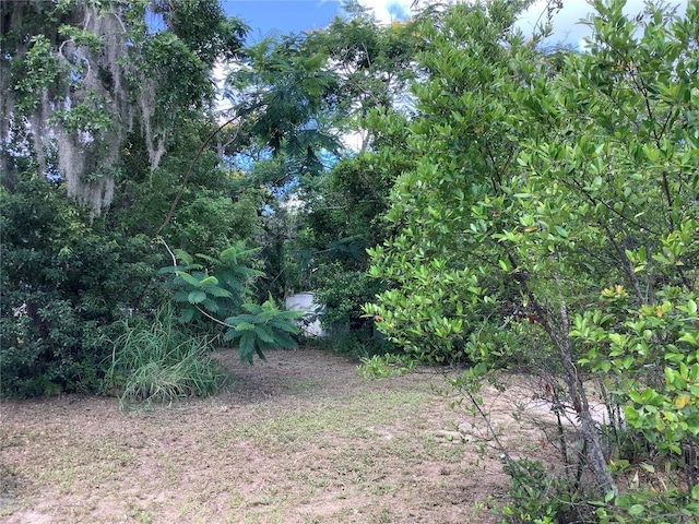 200 W Doane Ave, Eustis, FL 32726 - photo 8